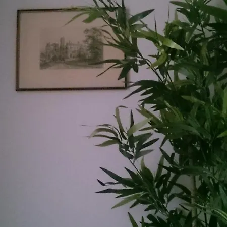 Baroni Bed & Breakfast 4*